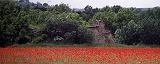 Provence-Dia 10